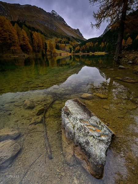 Un Palpuognasee étonnant... par Tomasz_best_shots