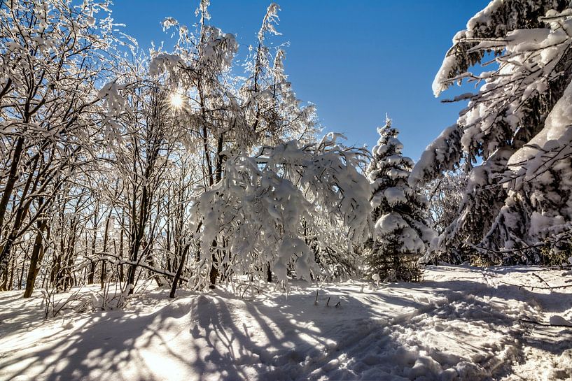 Winter Schnee von Johnny Flash