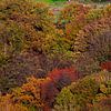 De kleurrijke herfst in het Limburgse heuvelland van Timo Videc