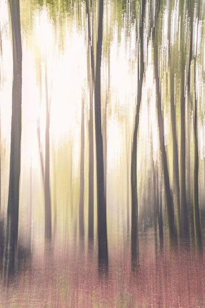 Duno estate part 9 by Tania Perneel