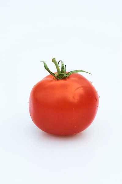 tomato by Geertjan Plooijer