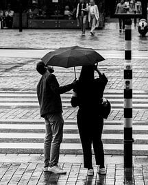 Reminiscing van wesleystroo.com