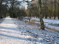 Wandelpad met sloot
