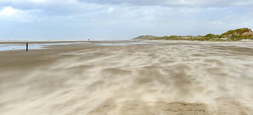 Strand von Terschelling