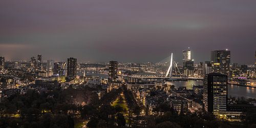 Rotterdam Erasmusbrug