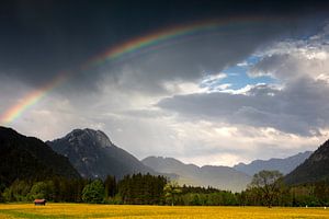 Regenbogen in Graswang