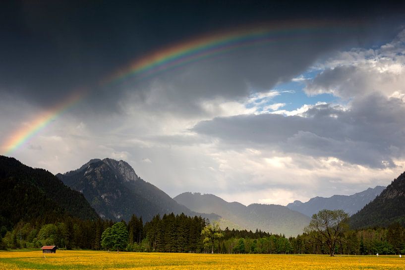 Regenbogen in Graswang von Andreas Müller
