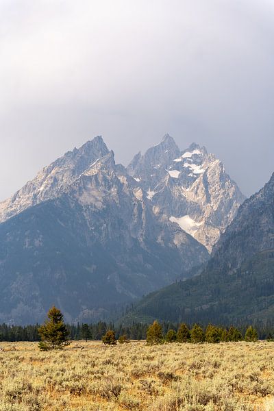 Grand Teton National Park, USA, Wyoming by Jeroen van Deel