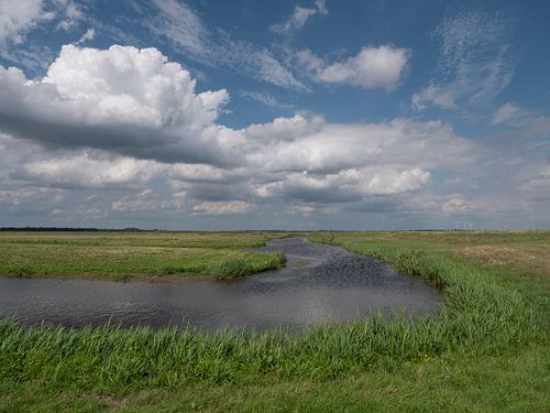 Gebirge im Polder Eemnes mit Wiese und schönen Wolken