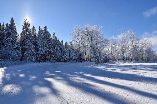 Een landweg in de winter