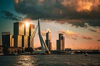 The Bridge.