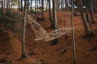 beech butterfly_nature-art installation