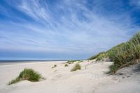 Zomer in de duinen