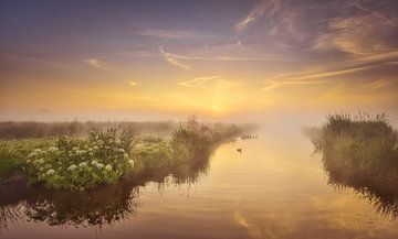 Foggy morning on the Zaanse Schans by John Leeninga