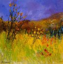 Een klein hoekje van de Provence van pol ledent thumbnail