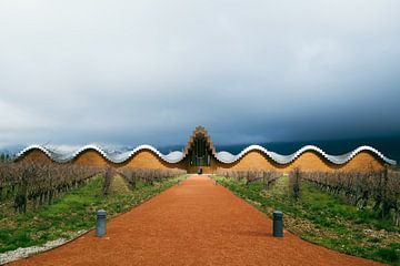 Bodega Ysios in Spanje door architect Santiago Calatrava van Truus Nijland
