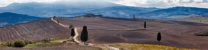 Panorama van het Gladiator landschap in Toscane par Roy Poots