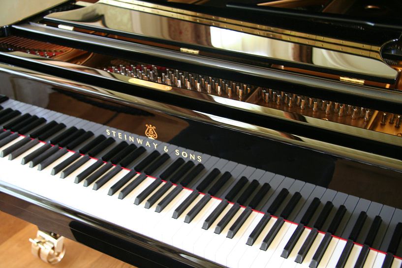 Klavieren van een piano von Veluws