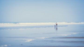 At the beach (2) by Rob van der Pijll
