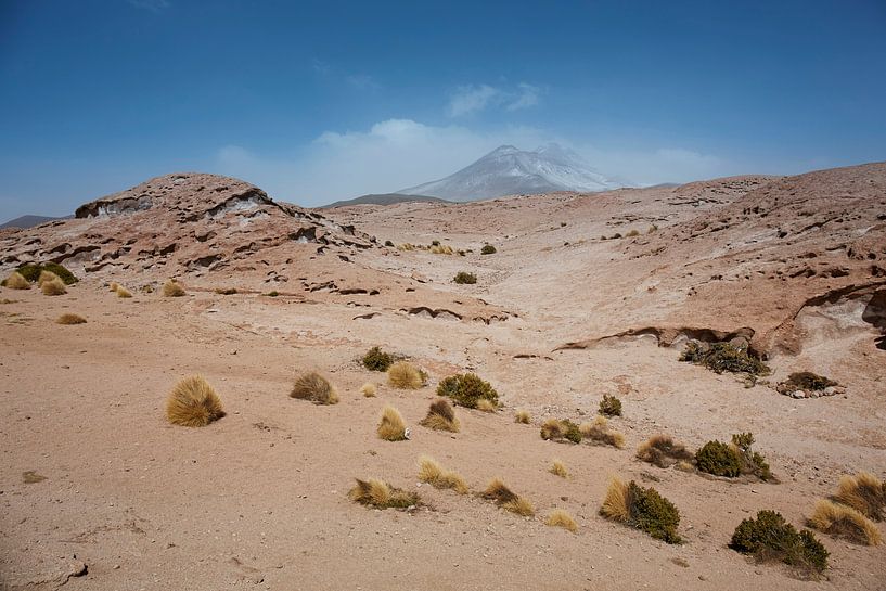 Felsformationen, Naturschutzgebiet Salar de Tara, San Pedro de Atacama, Chile von Tjeerd Kruse