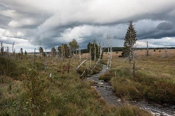 Tiefe Wolken über dem Hohen Venn, Belgien von wunderbare Erde