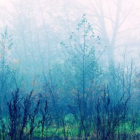 Blauwe Bos Droom - sprookjesbos, natuurfotografie van Nicole Schyns