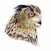 Owl by Bianca Snip