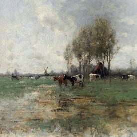 Cows in an open meadow landscape in front of a thatched farmhouse and a mill by Affect Fotografie