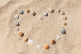 Muschelherz von Dagmar Hijmans