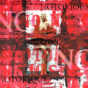No-No-Notorious by Feike Kloostra