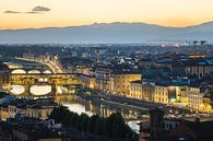 Blick auf die Altstadt von Florenz von Shanti Hesse Miniaturansicht