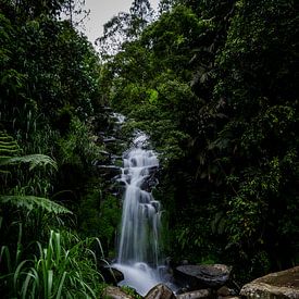 Tropische waterval Indonesie, Tropical waterfall Indonesia van Corrine Ponsen
