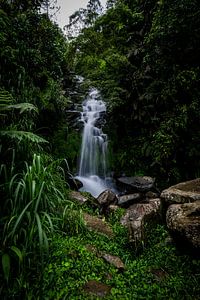 Chute d'eau tropicale en Indonésie, Chute d'eau tropicale en Indonésie
