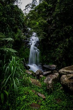 Tropische waterval Indonesie, Tropical waterfall Indonesia van Corrine Ponsen