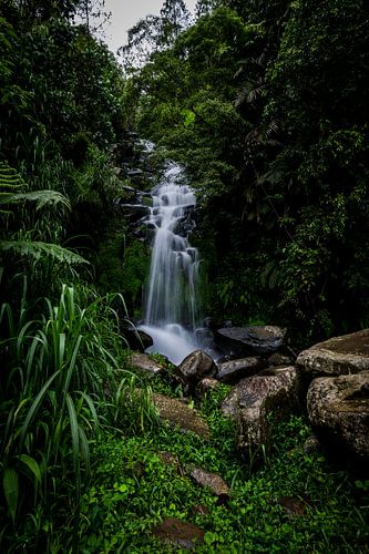 Tropischer Wasserfall Indonesien, Tropischer Wasserfall Indonesien von Corrine Ponsen