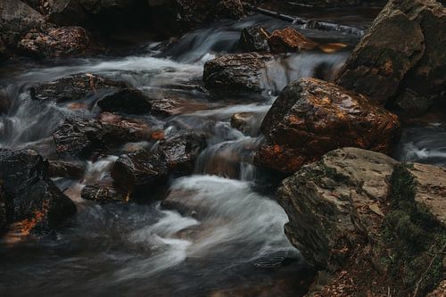 Les cours d'eau