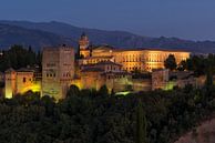 Alhambra - Granada  van Jack Koning thumbnail