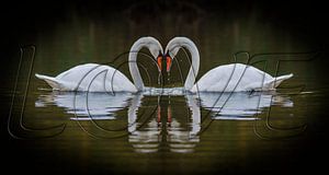 Love by Pieter van Roijen