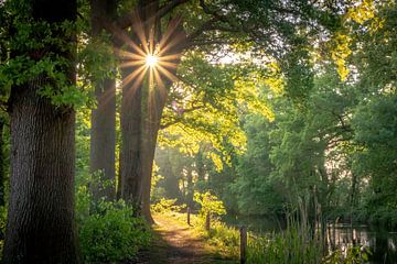 Soleil du soir sur le Vieux Canal sur Peschen Photography