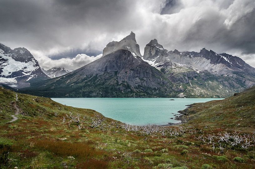 Torres del Paine par Ronne Vinkx