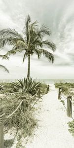 Weg zum Strand | Vintage Panorama