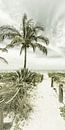 Path to the beach | Vintage Panorama by Melanie Viola thumbnail