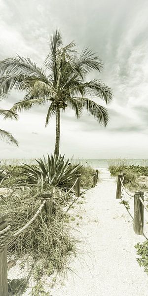 Path to the beach | Vintage Panorama by Melanie Viola