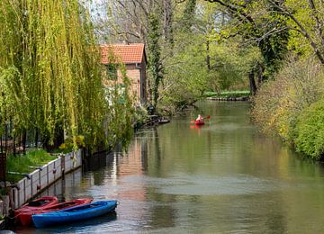 Canoë sur le Spreewald en Allemagne sur Animaflora PicsStock