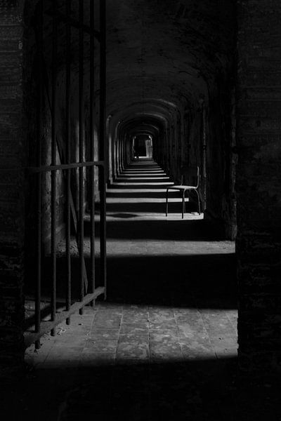 Striped lights by shoott photography