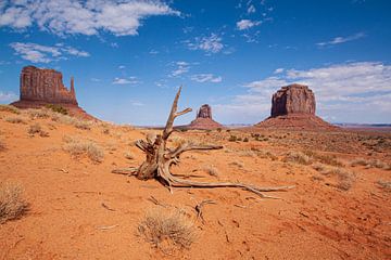 Monument Valley Navajo Tribal Park, Arizona USA van Gert Hilbink