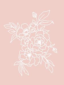 Illustration de roses avec des lignes blanches sur KPstudio