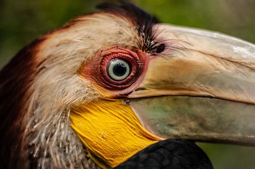 Altijd een oogje in het zeil