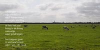 Weiland met koeien met poëzie