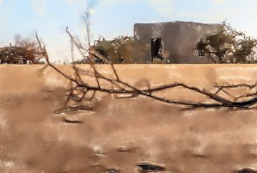 Mud hut in Sudan by Frank Heinz